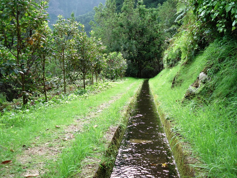 Levada dos Tornos trail