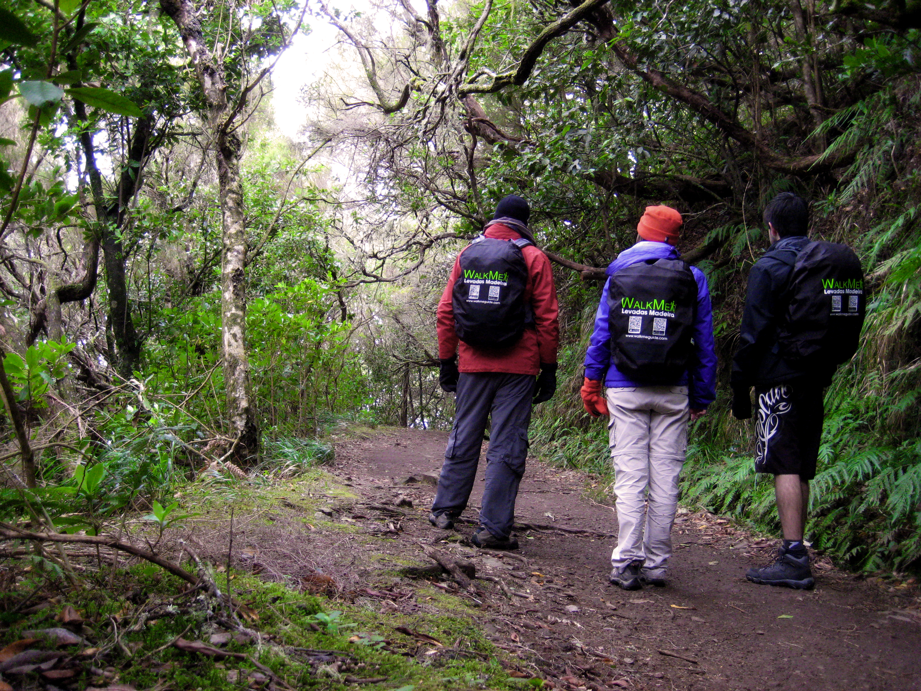 Our team hiking in Madeira
