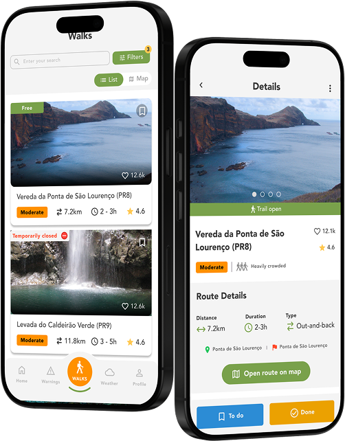 App mockup