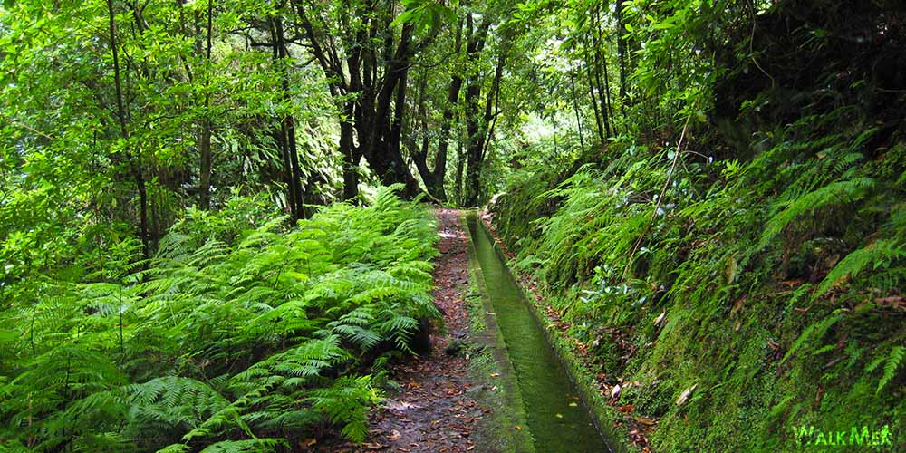 What are the Levadas of Madeira?